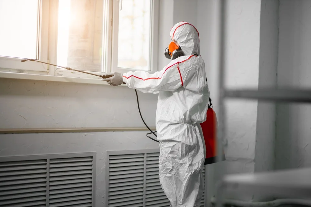 Professional mold remediation services in Arock, OR